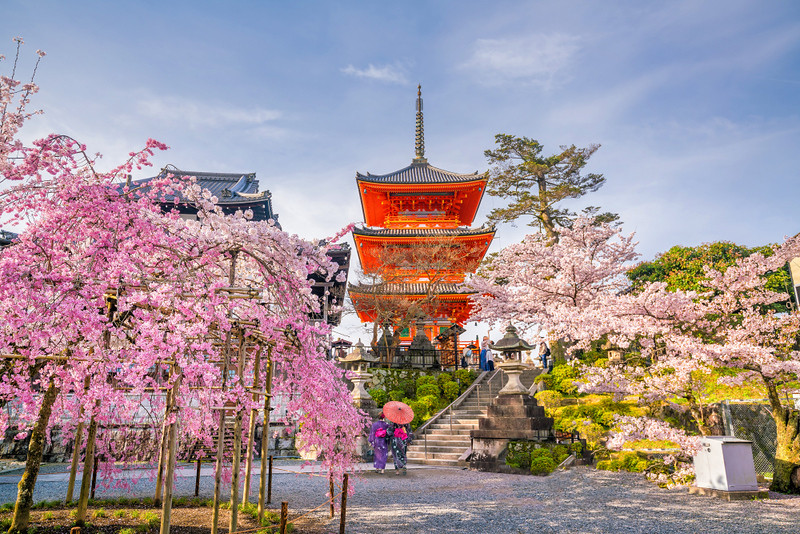 Japan Family Adventure — travel photography of Japan